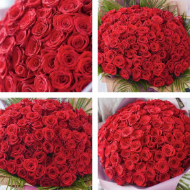 Valentine's Day Luxury 100 Red Roses